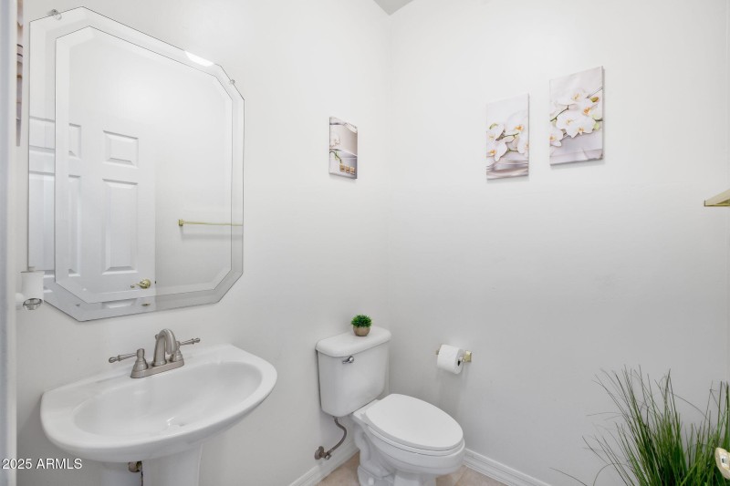 15436 E El Lago Blvd Fountain Hills - 25