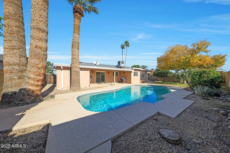 Back yard 1