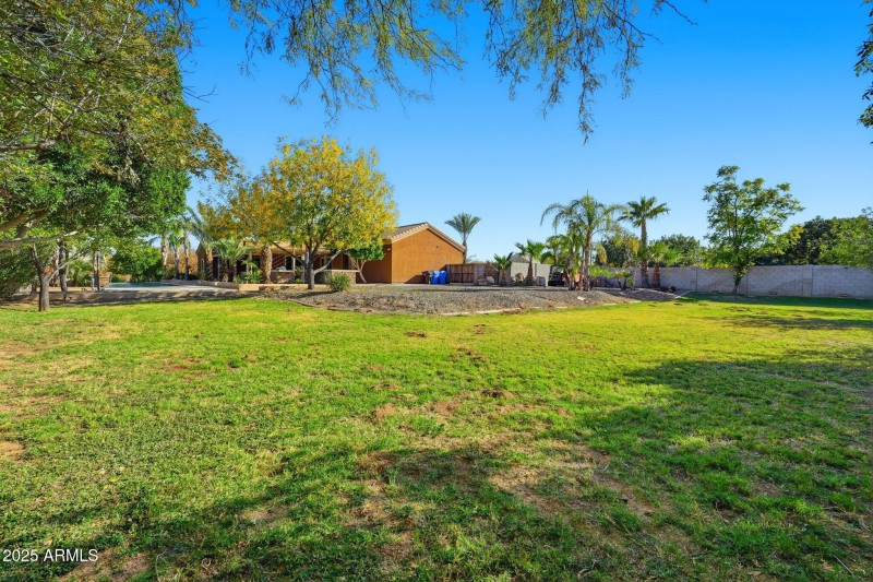 Back Side Yard