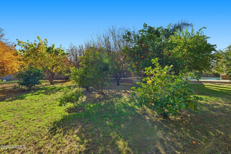 Back Side Yard