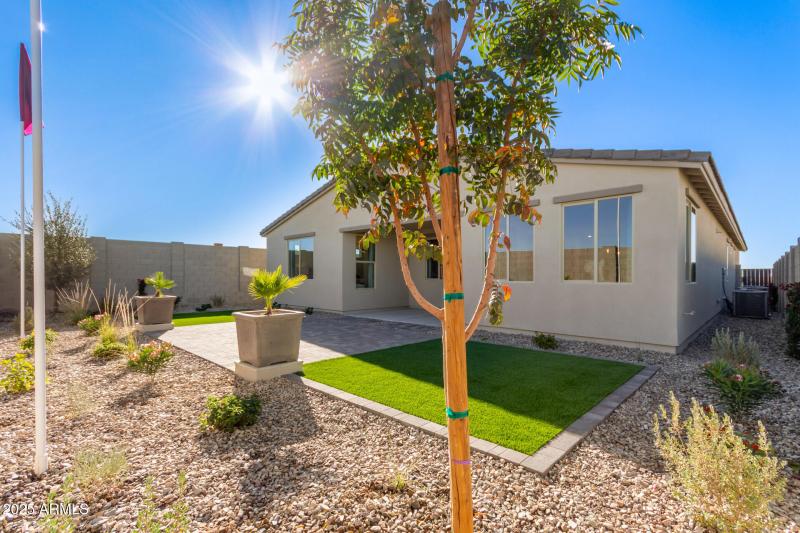 20-Backyard