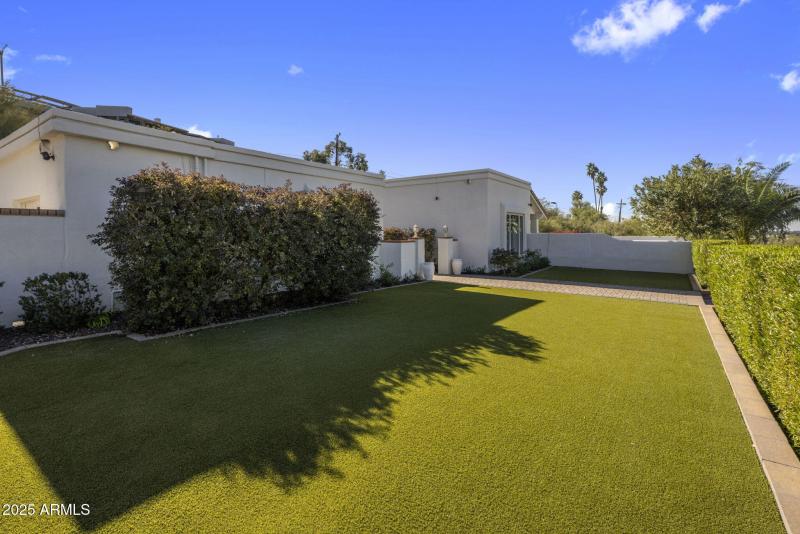 Grass Yard