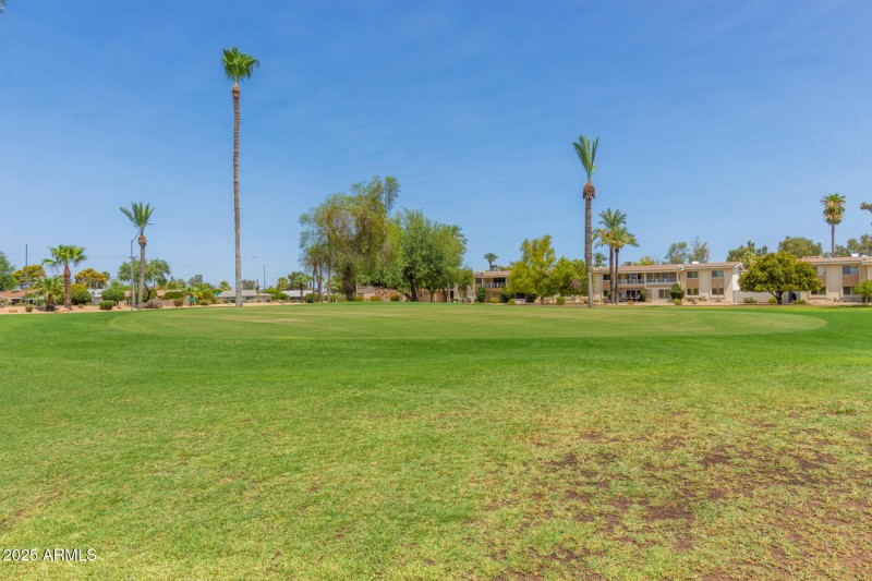 53-Desert Hills