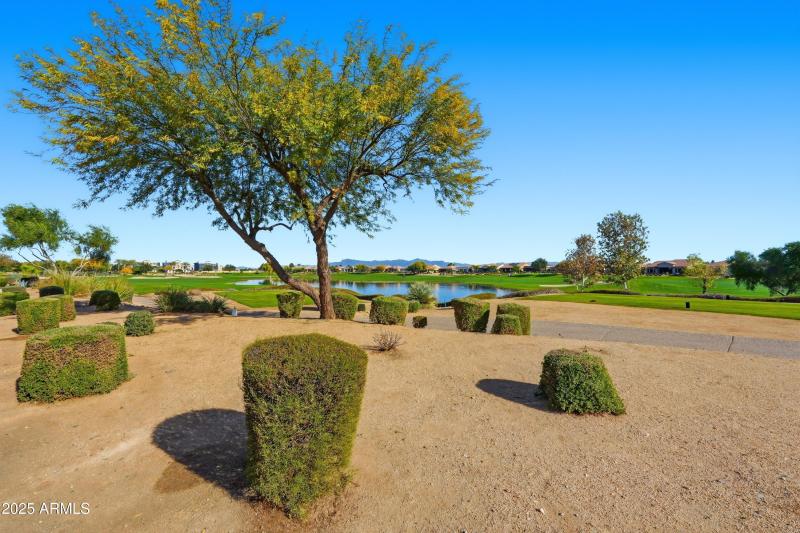 Golf course views