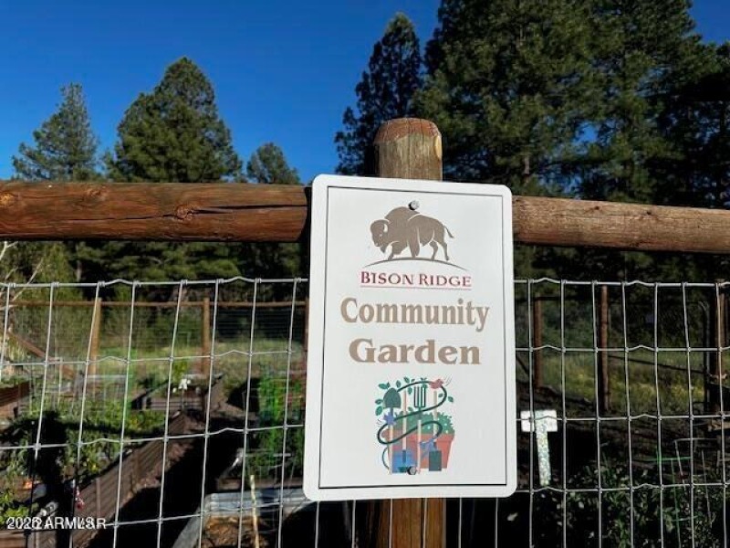 Bison Ridge