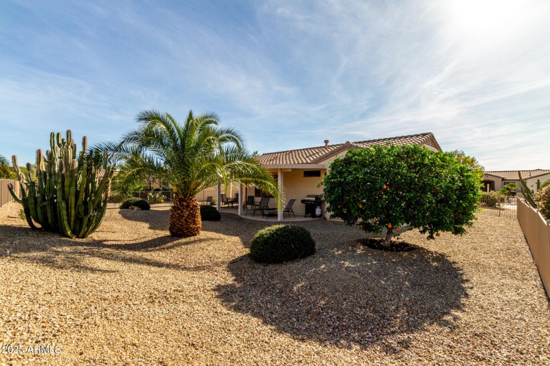 Back Yard
