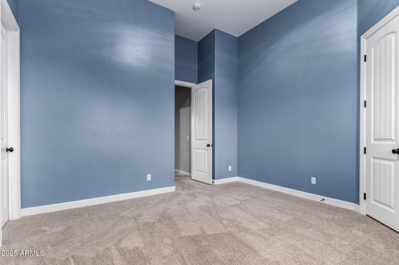 37 - Finch (12-23-25)