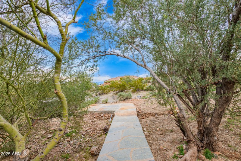 49 - Finch (12-23-25)