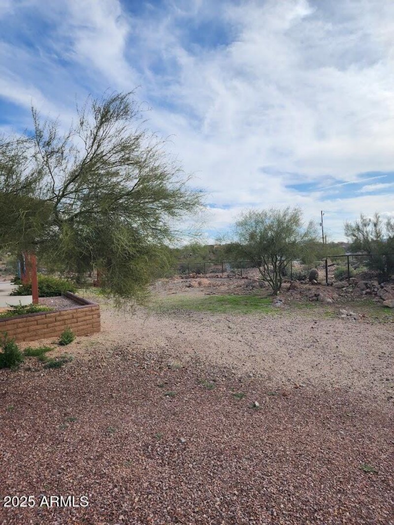 Back yard photo
