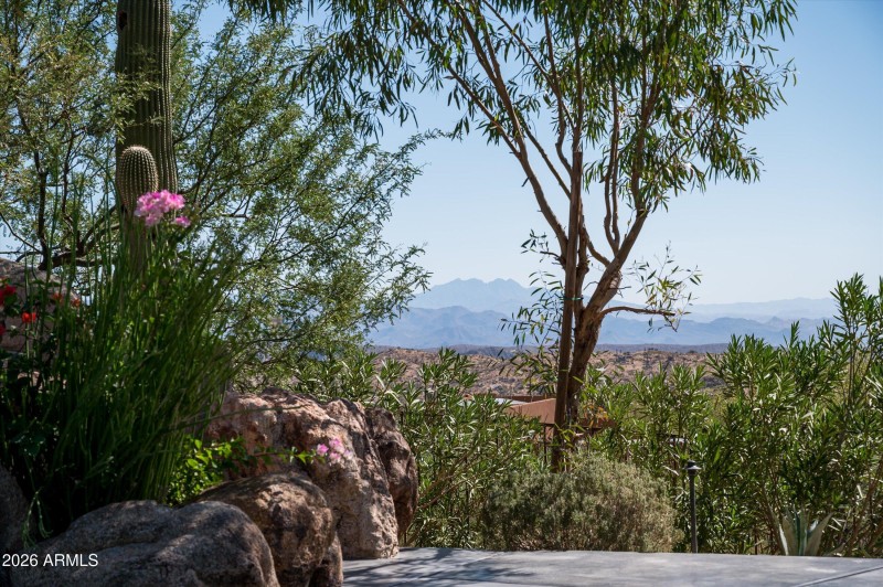 Four Peaks~