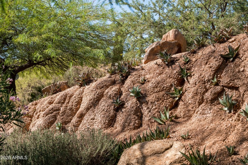 Living Rock Wall~