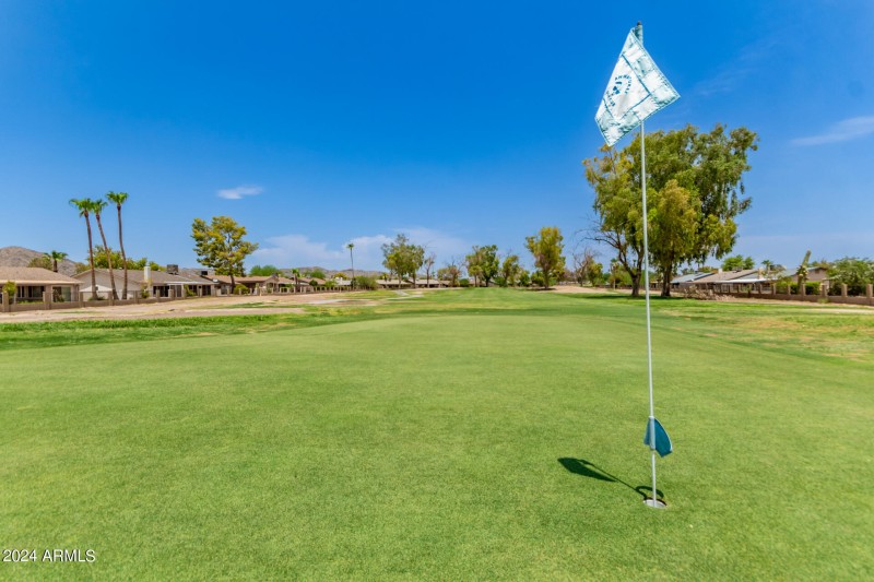 41 - Paiute