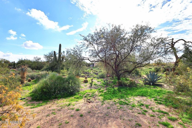 Front Yard3