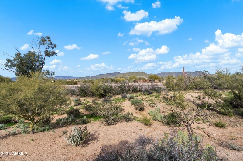 Natural desert