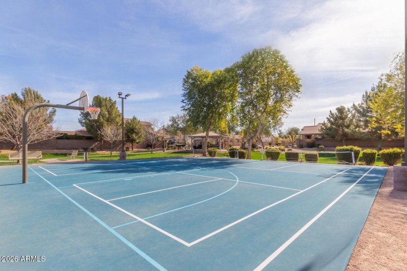 Ball court
