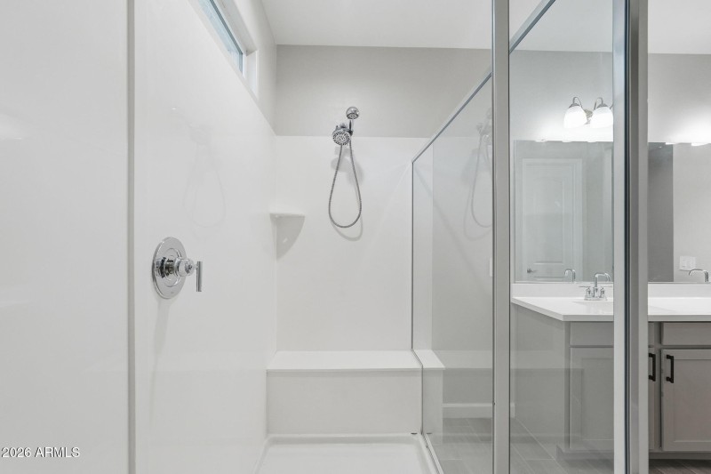 Primary Shower
