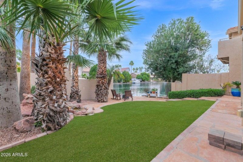 Large Grassy Backyard