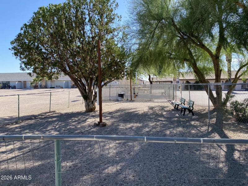 Dog Park (1)