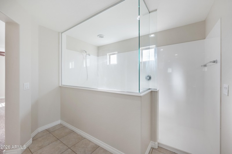 Primary Shower