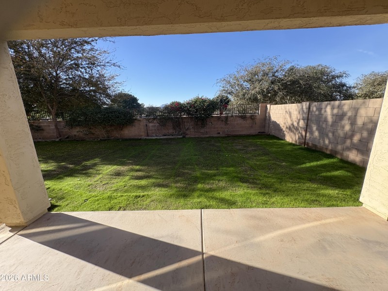 Backyard