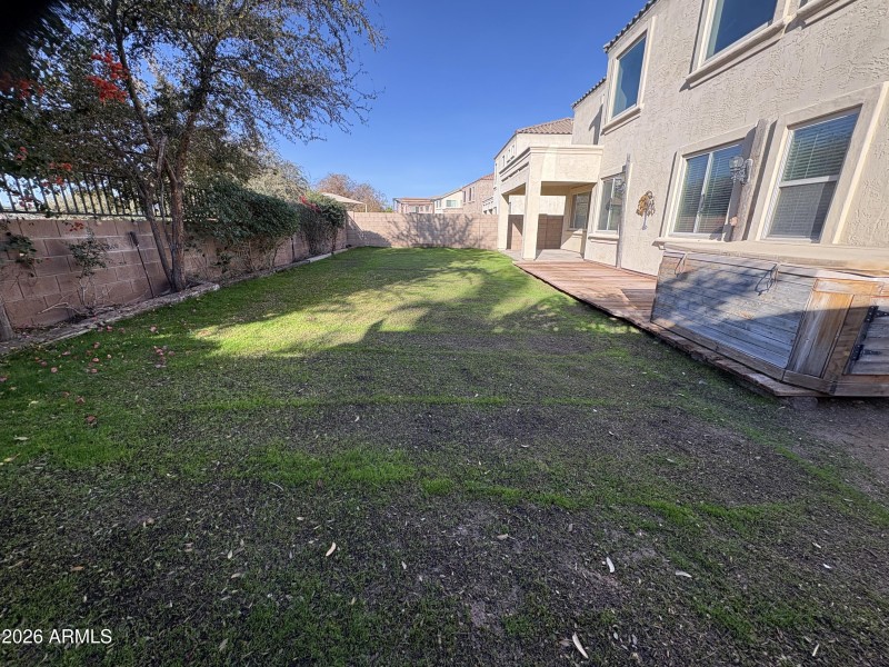 Backyard