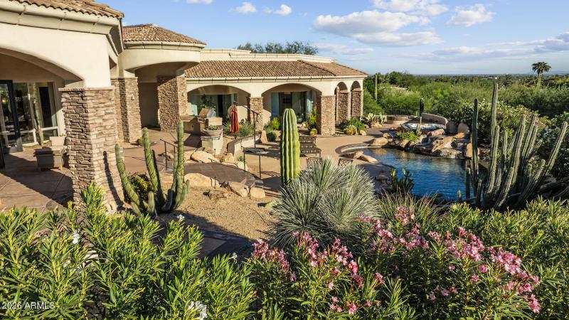 Back yard