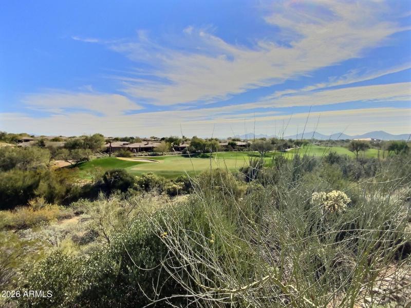 15 Persimmon #4 Green