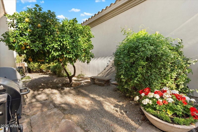 Numerous fruit trees