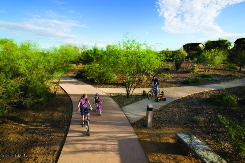 mDiscovery Trail