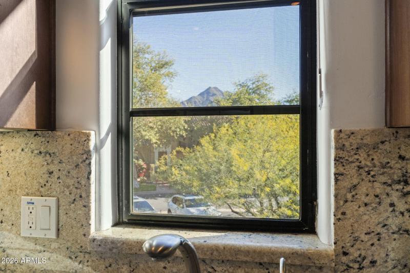 Views from Kitchen Sink