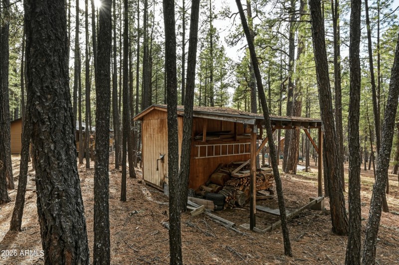 shed