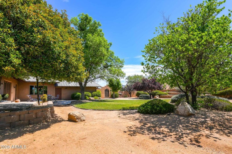 Backyard Oasis