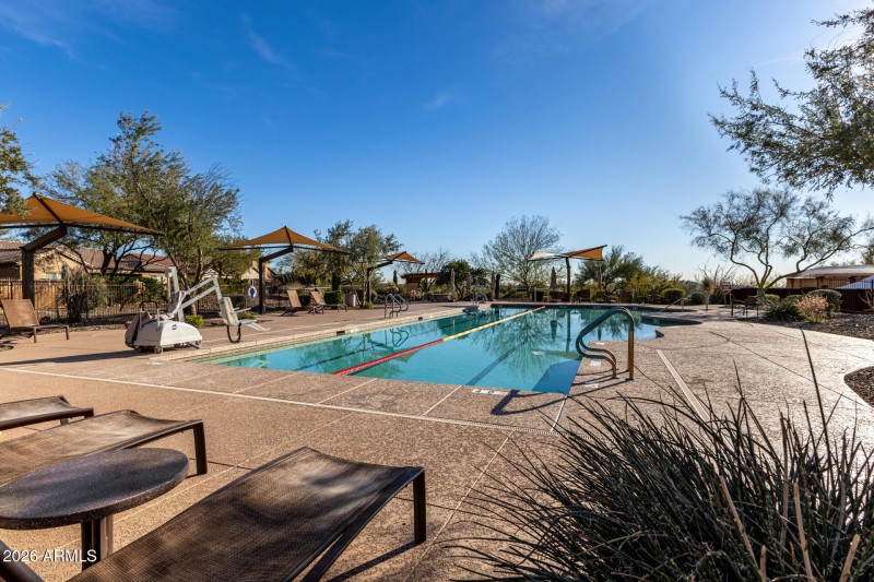 Lap Pool