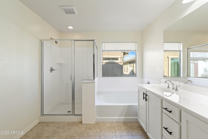 Owner's Bath