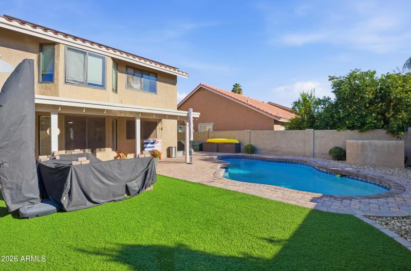 Turf Backyard