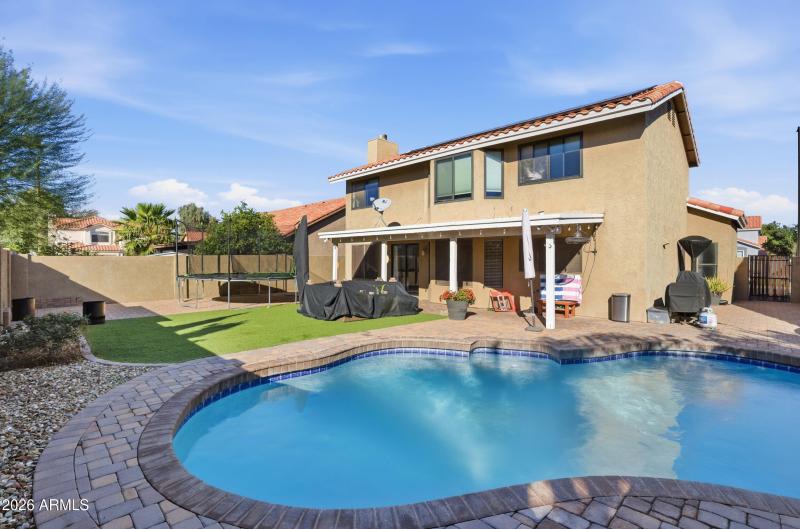 Backyard Pool