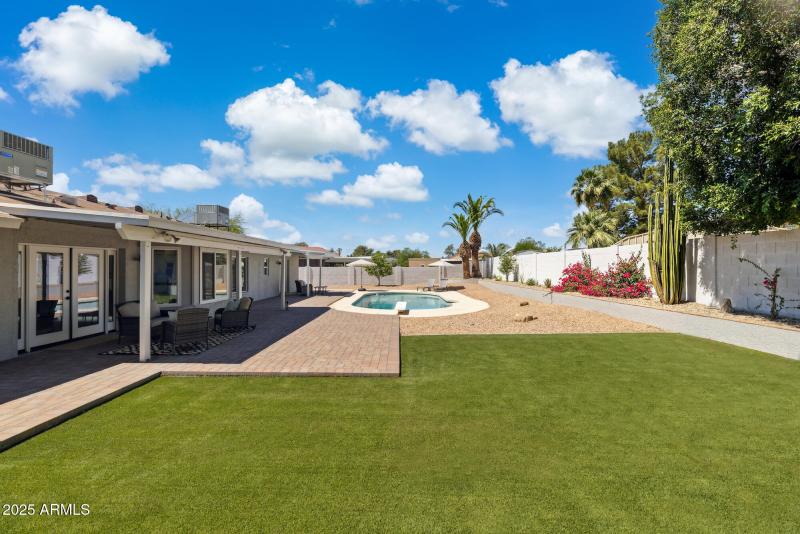 Backyard