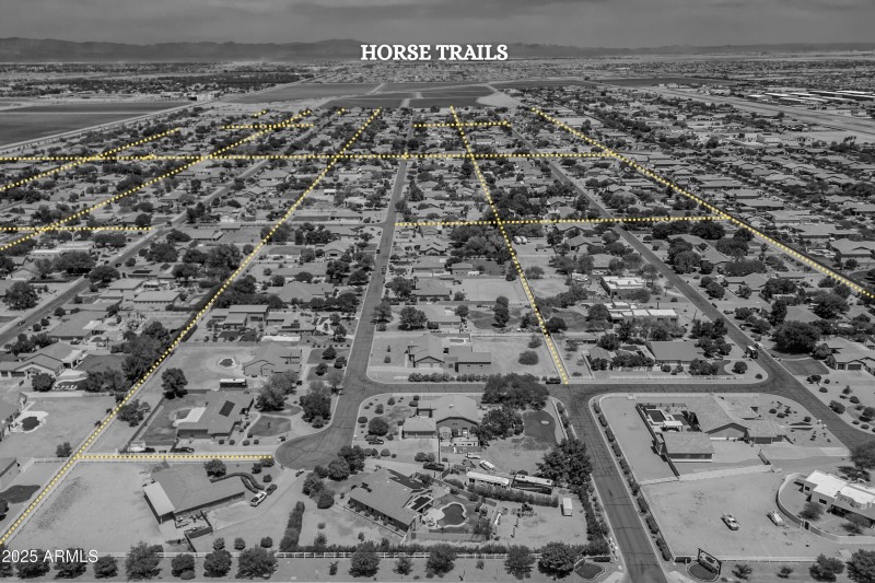 horse trail 2
