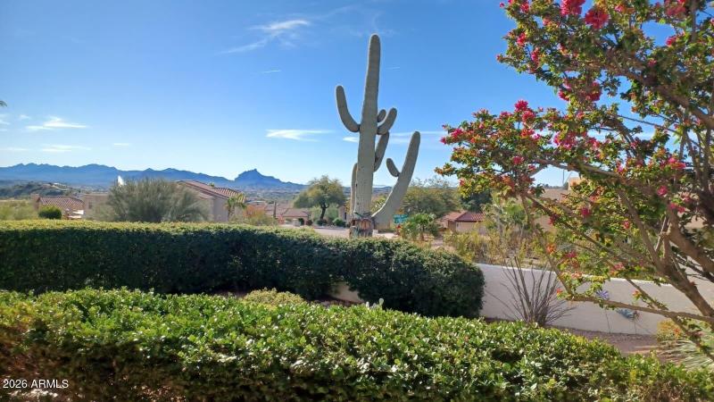 2 IMG-20260114-WA0000