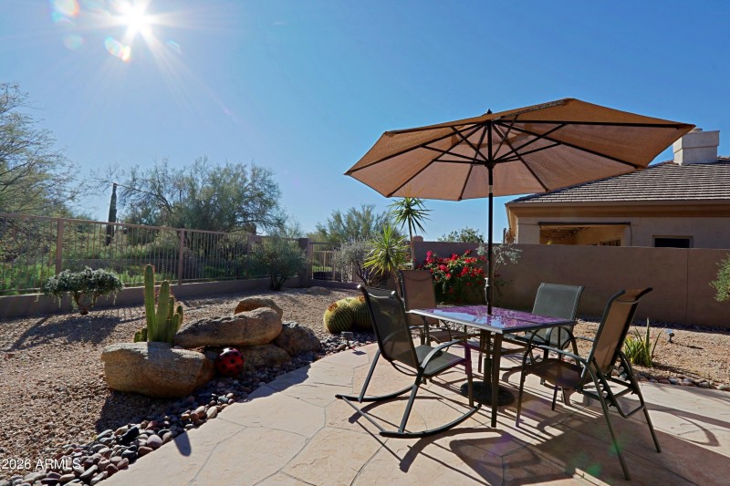 Backyard 10