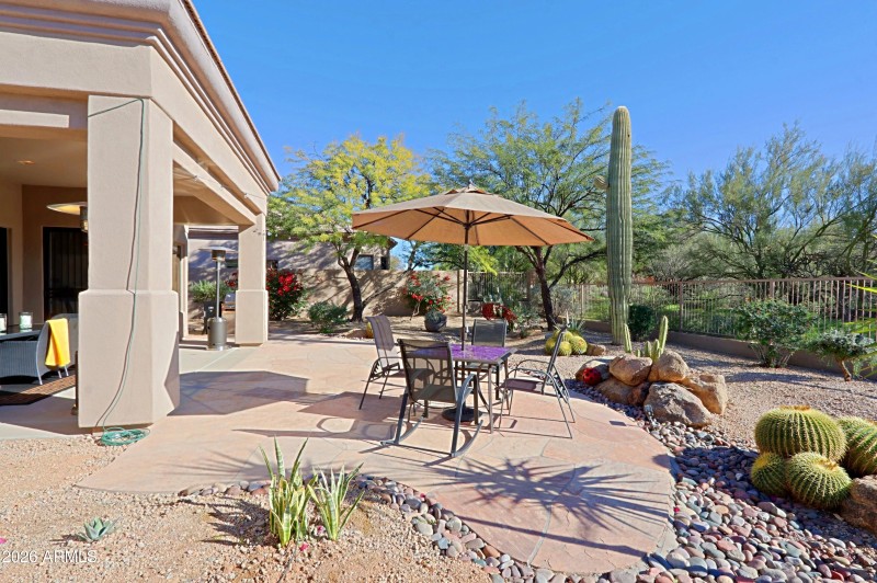 Backyard 14