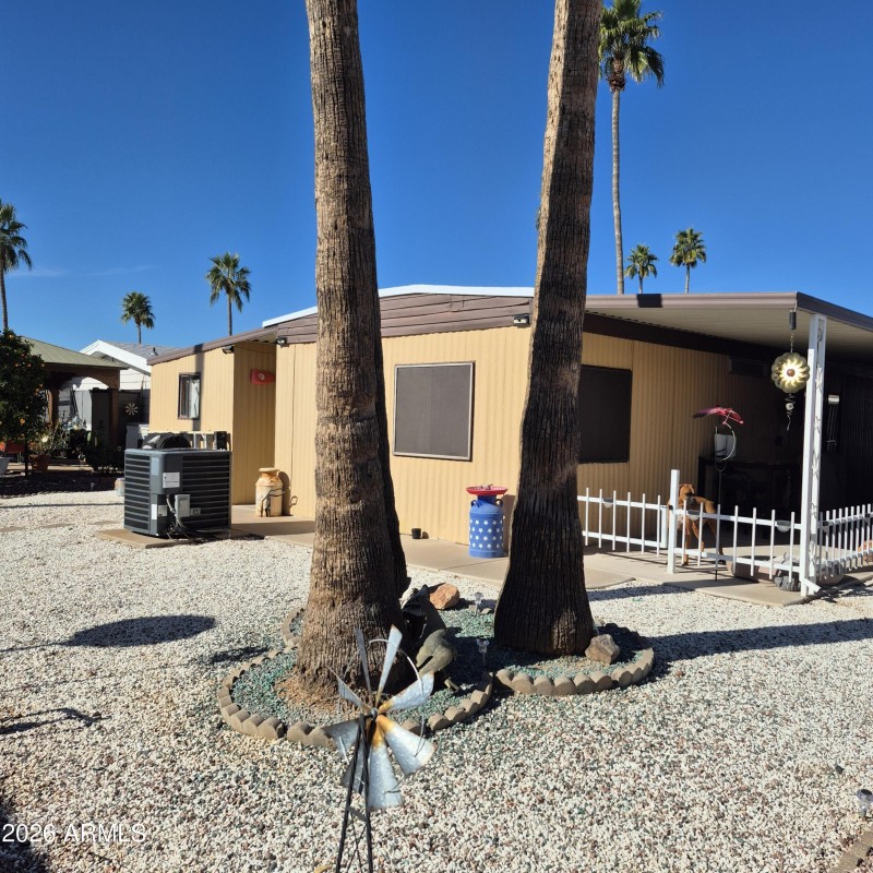 backyard 1