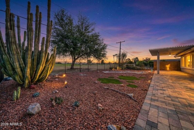 Backyard