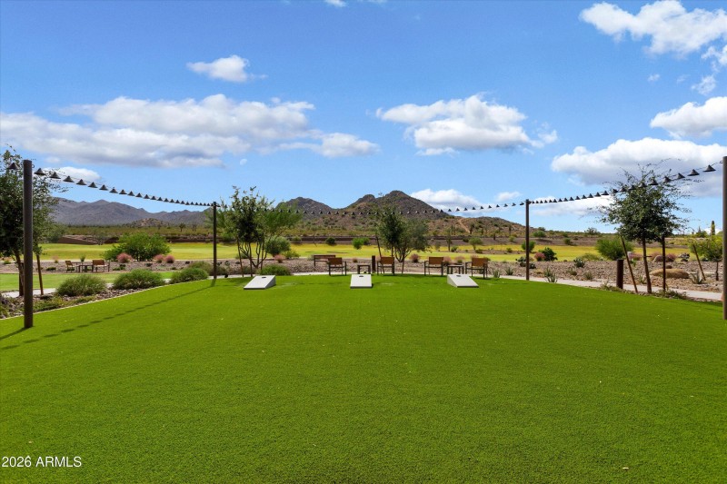 78-Saguaro-Sun City Festival (8)