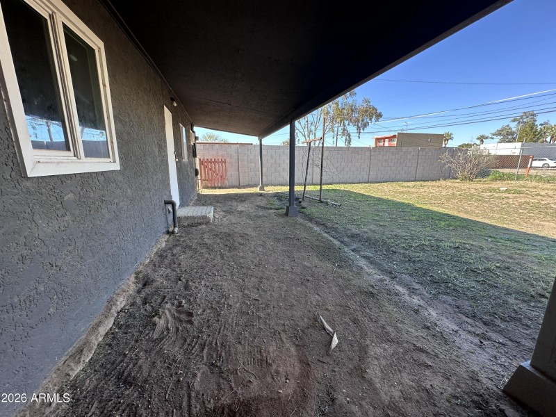 Backyard