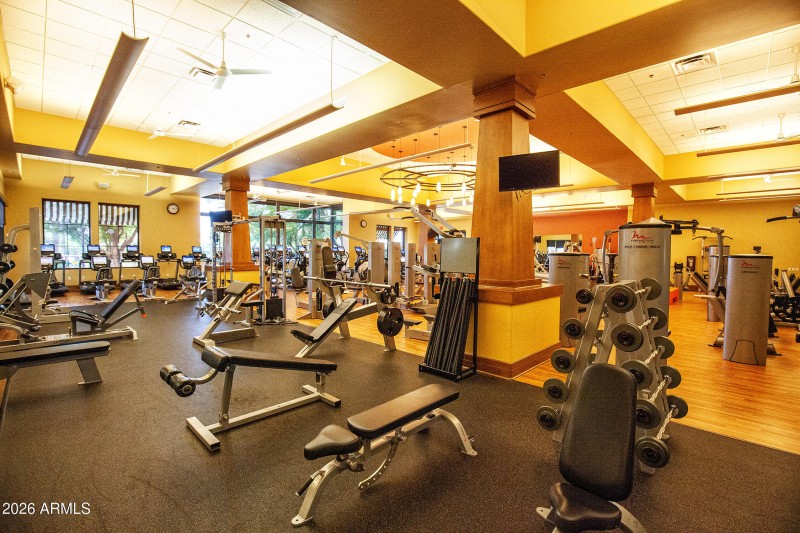 scf gym