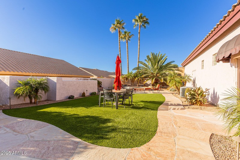Backyard