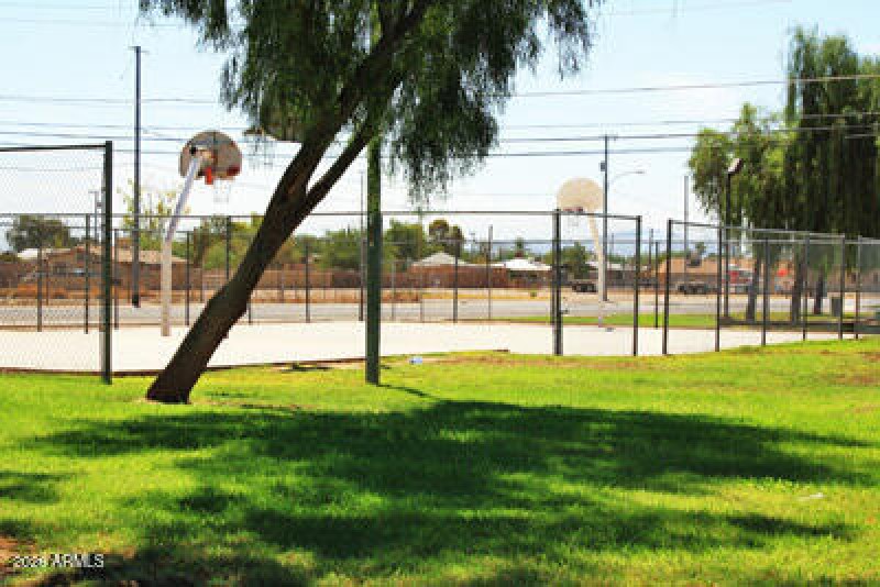 Basket Court