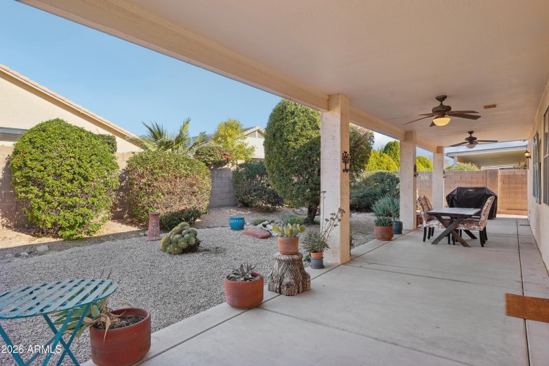 Back Patio