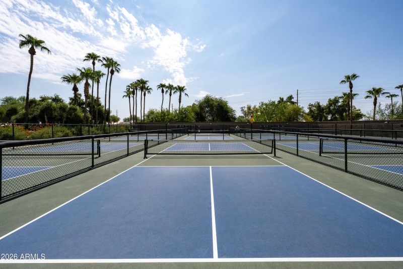 T-Pickle Ball